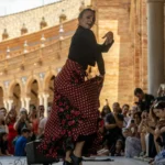 flamenco Malagaa